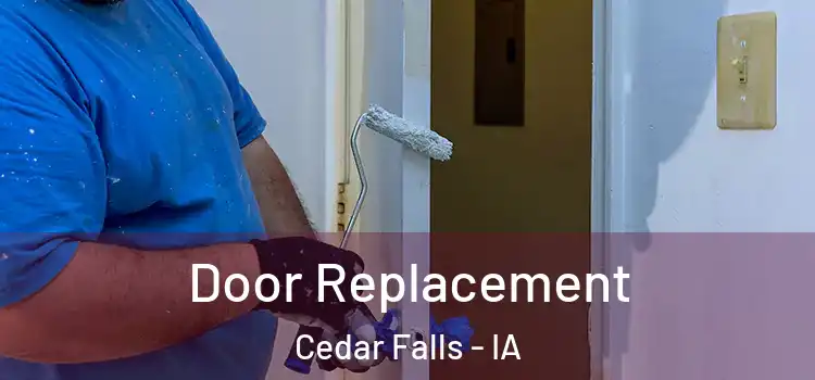 Door Replacement Cedar Falls - IA