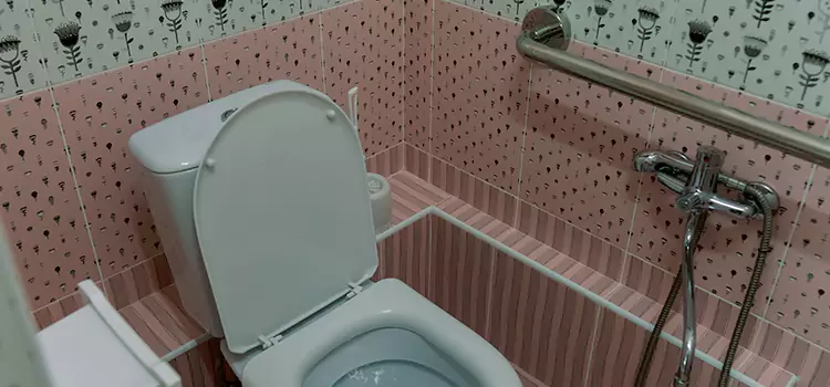 Meeting Diverse Needs With Accessible Restroom Solutions in Cedar Falls, IA